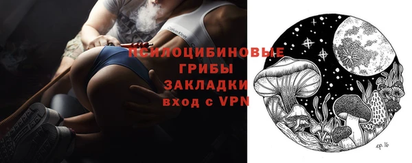 дмт Протвино