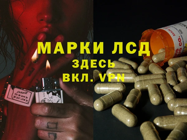 дмт Протвино
